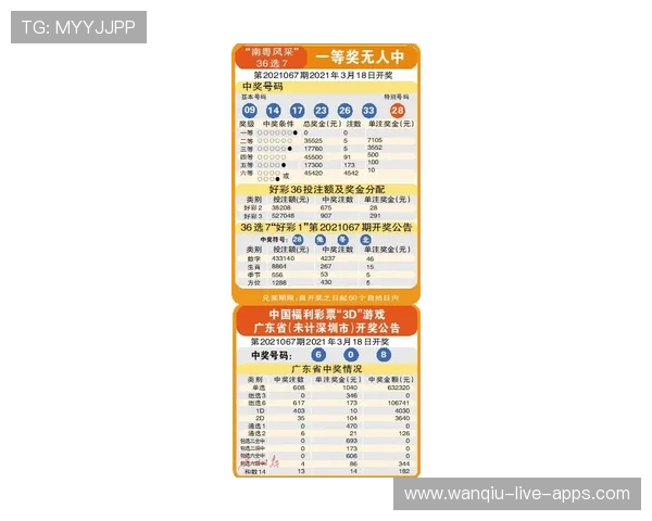 稳胆计划避坑指南 彩票数字高频玩法防骗秘诀